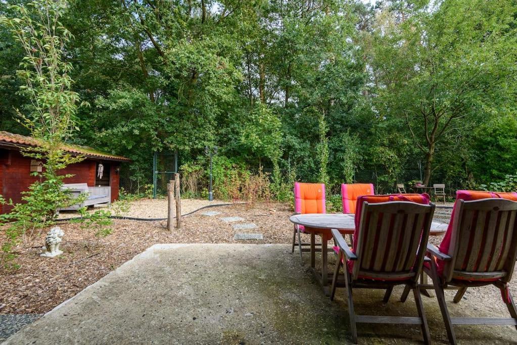 Spacious Wooden Cottage With Infra-Red Sauna At Veluwe Putten Ngoại thất bức ảnh