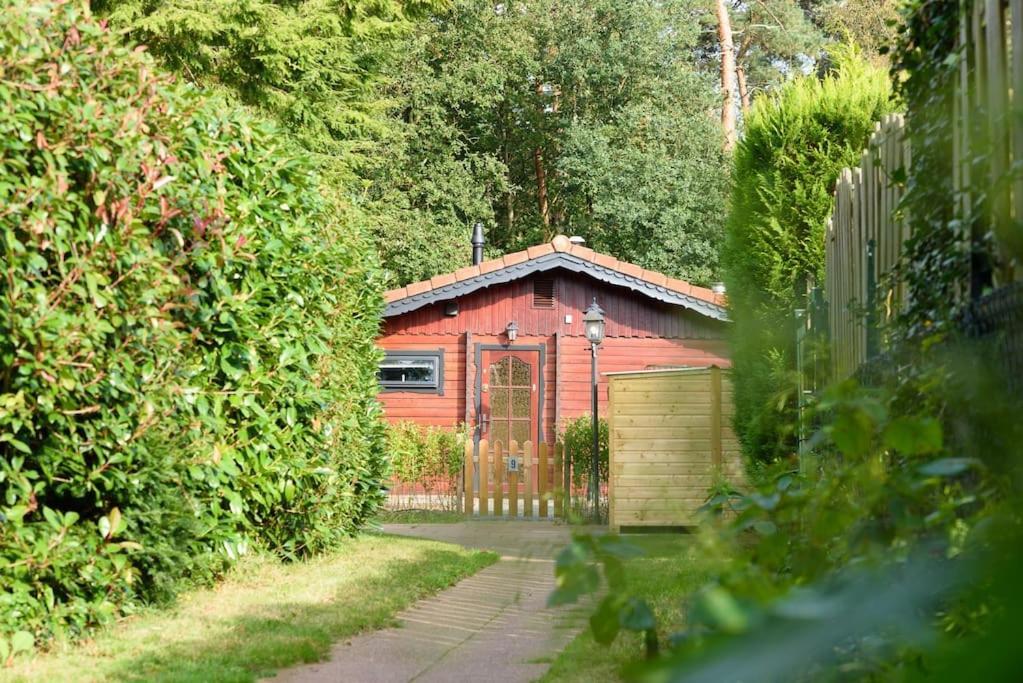 Spacious Wooden Cottage With Infra-Red Sauna At Veluwe Putten Ngoại thất bức ảnh